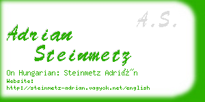 adrian steinmetz business card